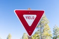 Yield Sign Against Pine Forest Backdrop Royalty Free Stock Photo