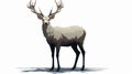 Bold Shadow Illustration Of Wild Caribou Deer On Isolated White Background