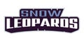 Bold sports font for snow leopard leopard logo. Text style lettering for esport, snow leopard mascot logo, sport team Royalty Free Stock Photo