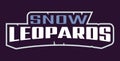 Bold sports font for snow leopard leopard logo. Text style lettering for esport, snow leopard mascot logo, sport team Royalty Free Stock Photo