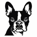 Bold Stencil Drawing Of A Boston Terrier\'s Face