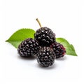 Bold And Subtle: Ripe Blackberries In Striking Kimoicore Style
