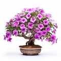 Bold And Vibrant Petunia Bonsai Tree With Purple Flowers