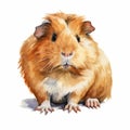 Bold Watercolor Guinea Pig on White Background AI Generated