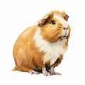 Bold Watercolor Guinea Pig on White Background AI Generated
