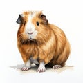 Bold Watercolor Guinea Pig on White Background AI Generated