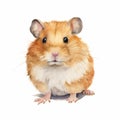 Bold Watercolor Hamster Against Plain White Background AI Generated