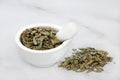 Boldo Herb Leaves Used in Herbal Medicine