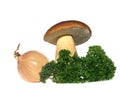 Bolete mushroom with onion and parsley isolated on