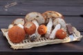 Boletes