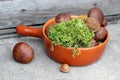 Boletes and moss in terracotta pan