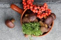 Boletes and rowan in terracotta pan