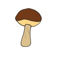 Boletus badius mushroom icon design. Vegan sticker and patch. Vector illustration