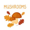 Two Cute Hog Mushrooms On The Background Of Autumn Leaves Are Isolated On A White Background