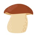 Boletus edulis forest mushroom. Hand drawn Porcini. Royalty Free Stock Photo