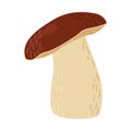 Boletus edulis forest mushroom. Hand drawn Porcini. Royalty Free Stock Photo