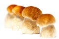 Boletus edulis mushrooms - isolated Royalty Free Stock Photo