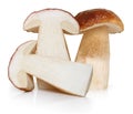 Boletus Edulis mushrooms isolated Royalty Free Stock Photo