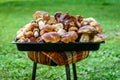 Boletus Edulis, penny bun or porcino is wild edible mushroom. Royalty Free Stock Photo