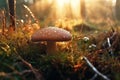 boletus mushroom in dew drops in grass in forest on a sunny summer day. Generative AI illustration Royalty Free Stock Photo