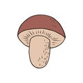 boletus mushroom hand drawn in doodle style. single element for design card, icon, poster, vector, monochrome Royalty Free Stock Photo