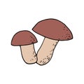 boletus mushroom hand drawn in doodle style. single element for design card, icon, poster, vector, monochrome Royalty Free Stock Photo