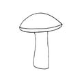 boletus mushroom sketch hand drawn doodle. single element for design card, icon, poster, , monochrome, minimalism Royalty Free Stock Photo