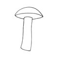 boletus mushroom sketch hand drawn doodle. single element for design card, icon, poster, , monochrome, minimalism Royalty Free Stock Photo