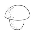 Boletus mushroom sketch hand drawn doodle. single element for design card, icon, poster, , monochrome, minimalism. nature, plant, Royalty Free Stock Photo