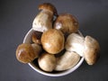 Boletus Mushrooms in Dish