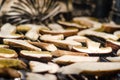 Drying Boletus mushrooms Royalty Free Stock Photo