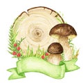 Boletus Mushrooms watercolor wooden signboard frame with ribbon banner, mushroom with grass, wood banners, planks, board