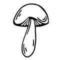 Boletus vector icon. Isolated illustration on a white background. Edible forest mushroom. Food sketch. Fungi thin black outline.