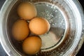 Boling brown eggs in the pot