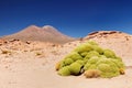 Bolivia - Eduardo Avaroa National Park Royalty Free Stock Photo