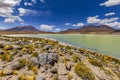 Laguna Hedionda, Bolivia Royalty Free Stock Photo