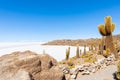 Bolivia Uyuni Incahuasi island panoramic view