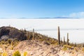 Bolivia Uyuni panorama of salar from Incahuasi island