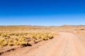 Bolivian dirt road view,Bolivia Royalty Free Stock Photo