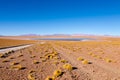 Bolivian lagoon view,Bolivia