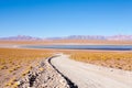 Bolivian lagoon view,Bolivia