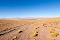 Bolivian lagoon view,Bolivia