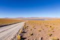 Bolivian lagoon view,Bolivia Royalty Free Stock Photo