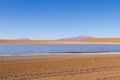 Bolivian lagoon view,Bolivia