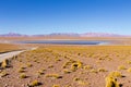 Bolivian lagoon view,Bolivia