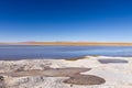 Bolivian lagoon view,Bolivia