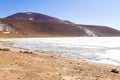 Bolivian lagoon view,Bolivia Royalty Free Stock Photo