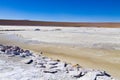 Bolivian lagoon view,Bolivia Royalty Free Stock Photo
