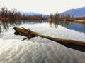 Calm and quite. Bolle di Magadino, Ticino. Switzerland Royalty Free Stock Photo