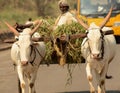 BOLLOCK CART INDIA